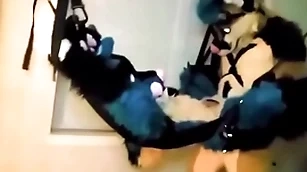 Furry headed all round and fucked