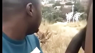 South african open-air