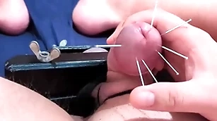 Cock skewering extreme cbt - 7 in a sweat & cumshot on touching squeezed horse feathers