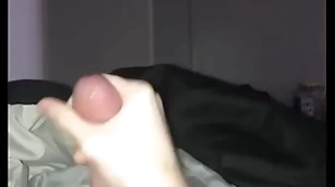 Young dear boy strokes horseshit