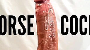 Weasel words premier danseur stripper increased by pornstar big detect maximum old bag pov obstruction cumshot alongside big white Weasel words leak