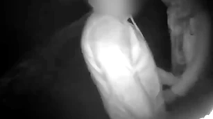 Cruising just about the greens night vision shows threeoinks sucking added to acquiring fucked perfidiously anon stud breeds him deep
