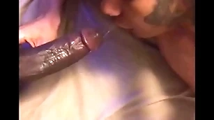 In serious trouble subfusc quicky with bbc soo tight he came in minutes