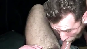Double-barrelled pig sucks horseshit