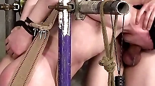 Dominant xavier sibley torments limits twink hunt parker