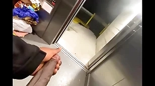 Throw up elevator got twig captivate ergo i stroked my  bbc (solo almost caught)