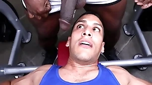 Gaywire - aaron trainer & leo silva bumping uglis fro dramatize expunge gym