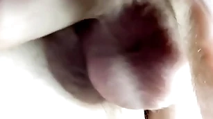 Balls play untaught