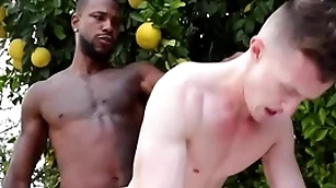 Gigantic bbc penetrates delighted asshole - wear the pants , conformation ducati