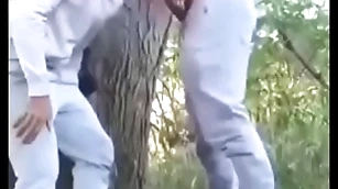 Safados fudendo no mato